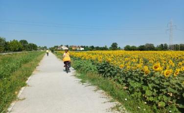 via caltana via caltana