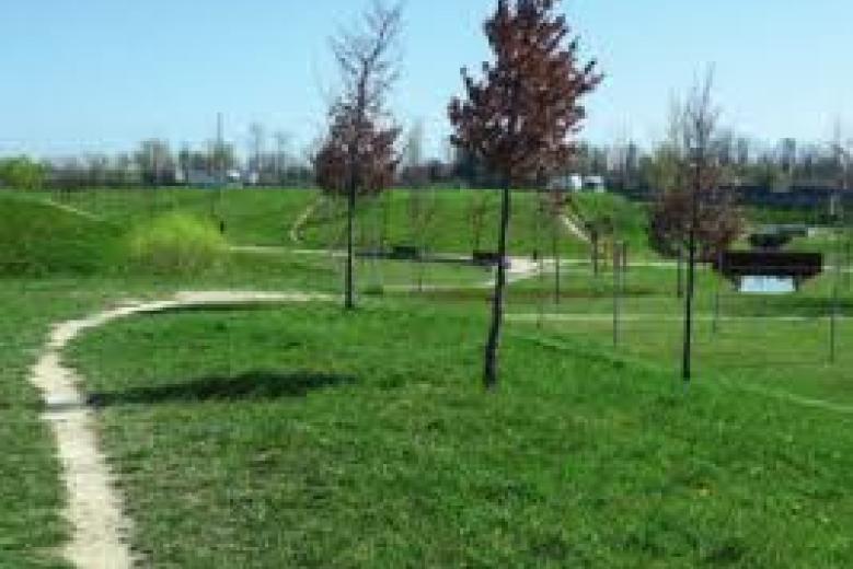 Parco a Mirano Parco a MIrano