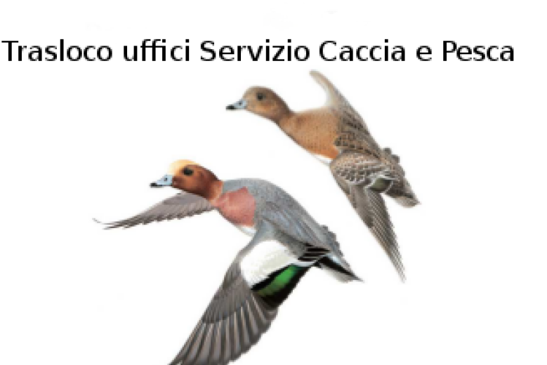 Trasloco Servizio Caccia e Pesca Trasloco Servizio Caccia e Pesca