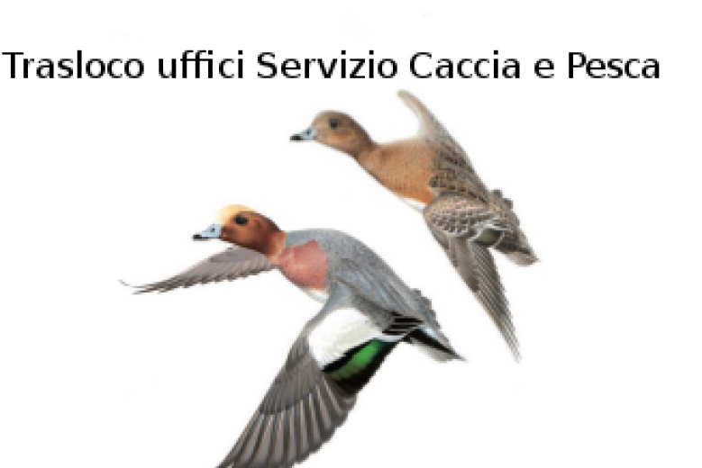 Trasloco Servizio Caccia e Pesca