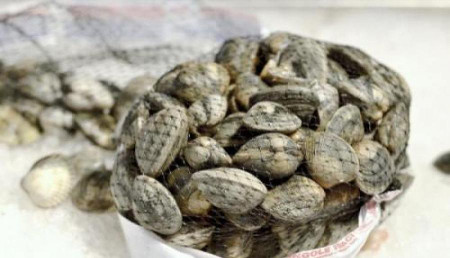 Vongole Vongole